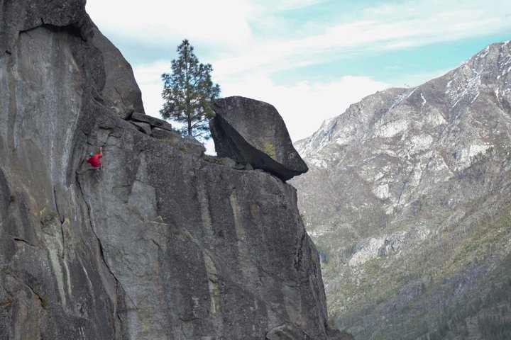 Warrior Crack 5 (800x533).jpg